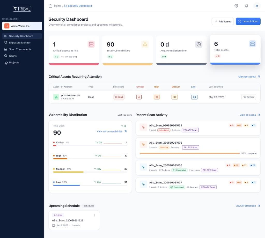 TRIBAL NST Security Dashboard showing metrics, critical assets, and vulnerability distribution